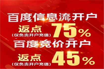 某电商企业如何通过百度竞价广告提升销售额